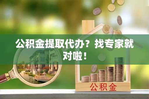 辽中公积金提取代办？找专家就对啦！
